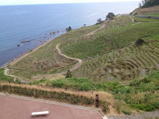 2014062406.jpg