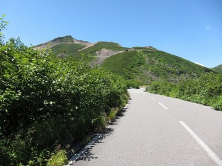 IMG_0213.jpg