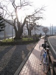 IMG_1043.jpg
