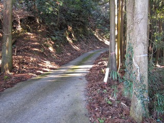 IMG_1095.jpg