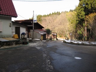 IMG_1117.jpg