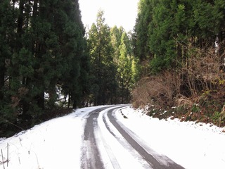 IMG_1121.jpg