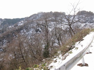 IMG_1127.jpg