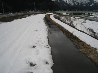 IMG_1326.jpg