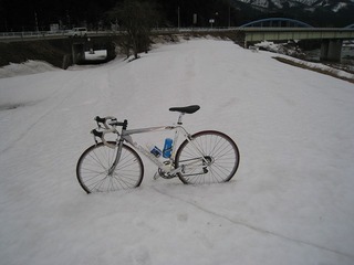 IMG_1328.jpg