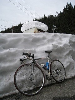 IMG_1347.jpg
