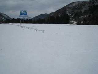 IMG_1351.jpg