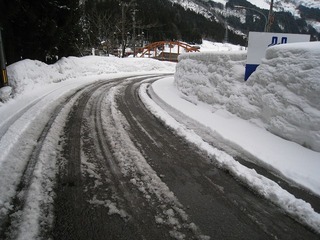 IMG_1363.jpg