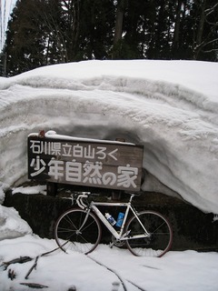 IMG_1367.jpg