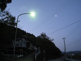 IMG_1619.jpg
