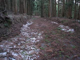 IMG_1622.jpg