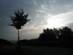 IMG_1622.jpg