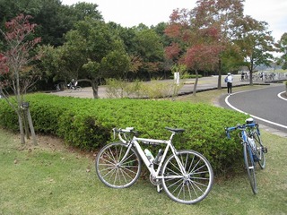 IMG_1962.jpg