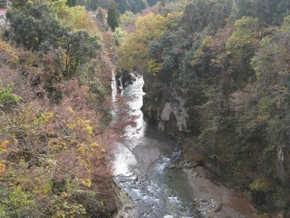 IMG_2041.jpg