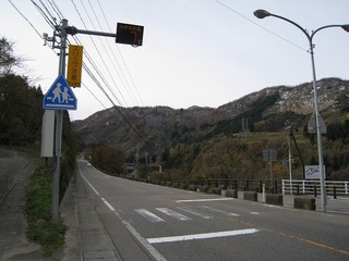 IMG_2052.jpg