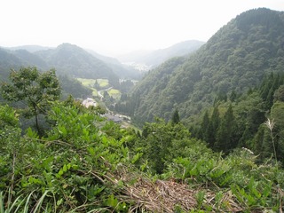 IMG_2450.jpg