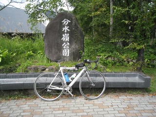 IMG_2453.jpg