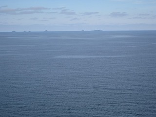 IMG_2664.jpg