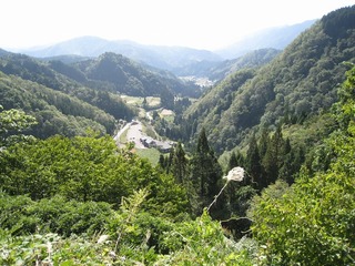 IMG_2784.jpg