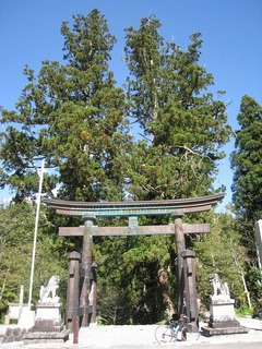 IMG_2792.jpg