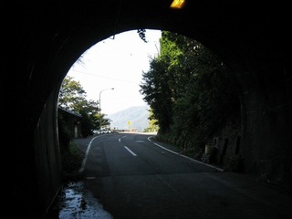 IMG_2805.jpg