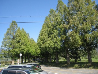 IMG_2807.jpg