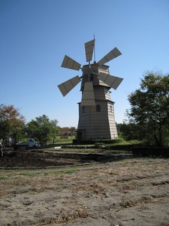 IMG_2808.jpg