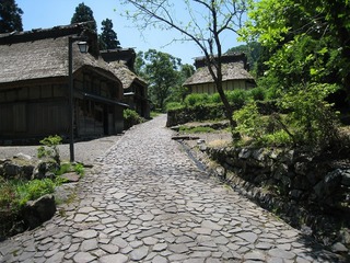 IMG_2835.jpg