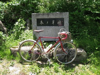 IMG_2844.jpg