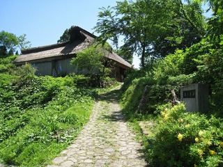 IMG_2845.jpg
