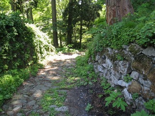 IMG_2849.jpg