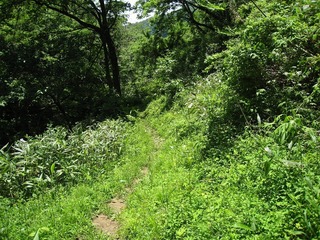 IMG_2856.jpg