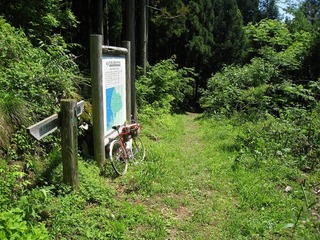 IMG_2864.jpg