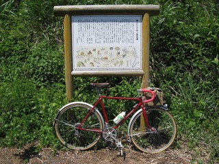 IMG_2869.jpg