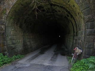 IMG_2875.jpg