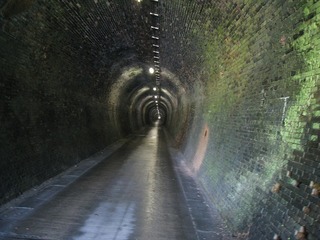 IMG_2890.jpg