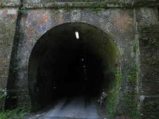 IMG_2891.jpg