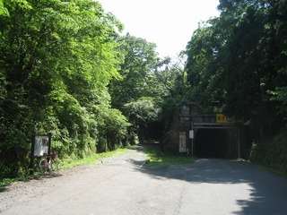 IMG_2894.jpg