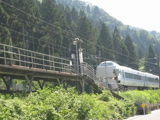 IMG_2913.jpg
