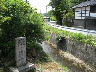 IMG_2922.jpg