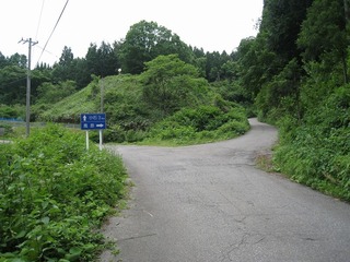 IMG_2923.jpg