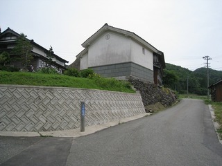IMG_2925.jpg