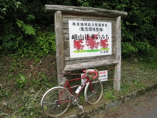 IMG_2928.jpg