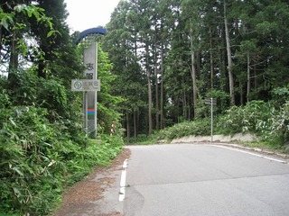 IMG_2932.jpg