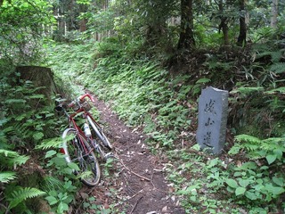 IMG_2941.jpg