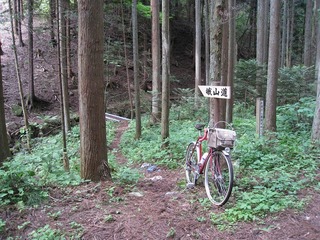 IMG_2949.jpg
