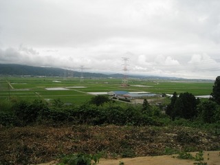 IMG_3074.jpg