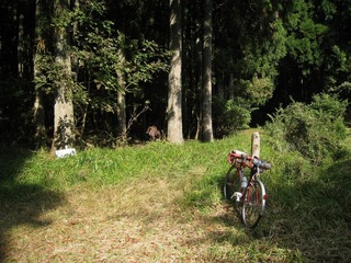 IMG_3421.jpg