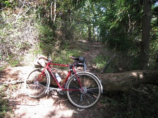 IMG_3428.jpg