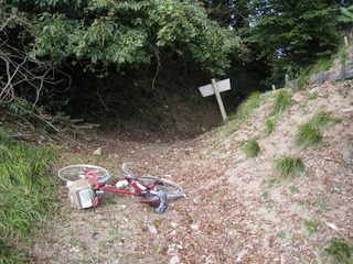 IMG_3431.jpg